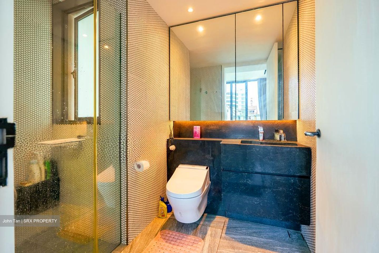 10 Evelyn (D11), Apartment #510990141
